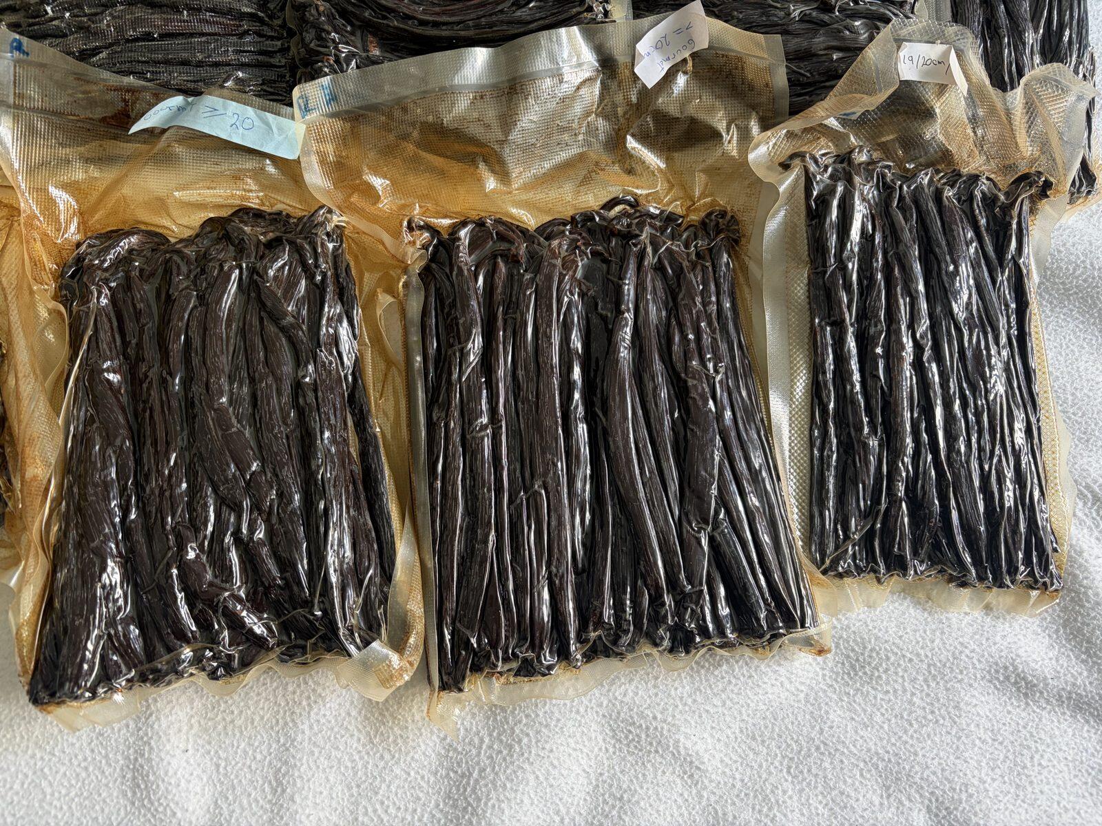 Vacuum-packed AzoVanilla beans ready to ship